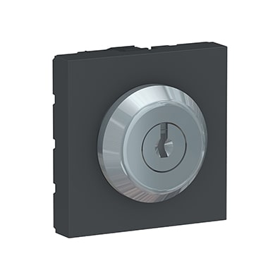 Schneider Interrupteur à clé Anthracite Unica - Poussoir - 10A -NU373154