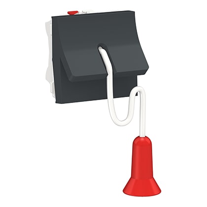 Schneider interrupteur à corde - Anthracite NO/NF - 10A -NU322654