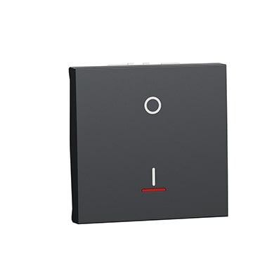 Schneider interrupteur bipolaire lumineux - 2 mod - Anth -NU326254S