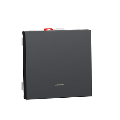 Schneider poussoir lumineux Anthracite 10A - 2 mod -NU320654N