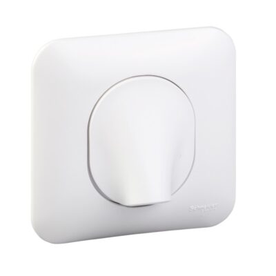 Sortie de cable - 16A - 2 connecteurs - à vis - blanc avec plaque Blanc Ovalis - S260662