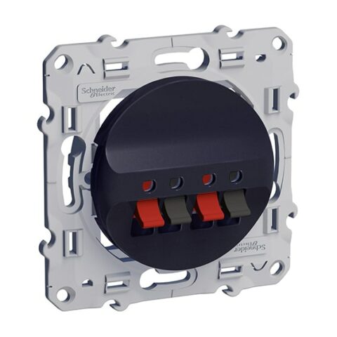 SCHNEIDER Odace prise hauts parleurs double - anthracite