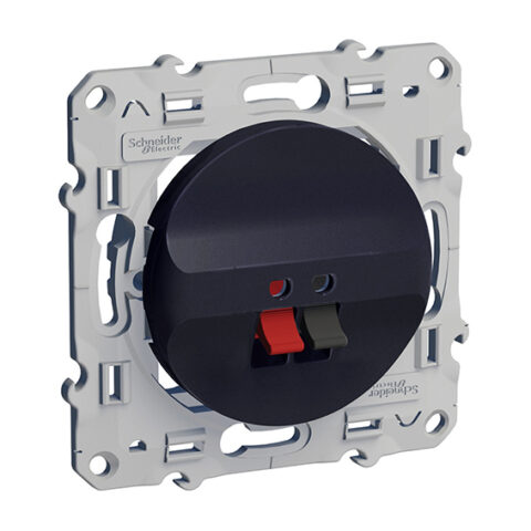 Schneider Odace Prise Haut-Parleurs Anthracite - S540487