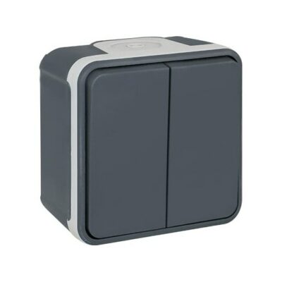 Double va et vient 1 poste - 10AX - 250V - Gris- IP55 - 60802
