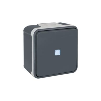 Interrupteur Va-et-vient lumineux Oxxo - 1 poste - 10AX - 250V - Gris