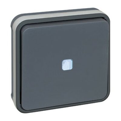 Bouton poussoir lumineux - 10A - Oxxo - 1 poste - Gris - 60884