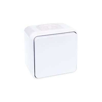 Bouton poussoir 1 poste - 10AX - 250V - Oxxo - Blanc - 60813
