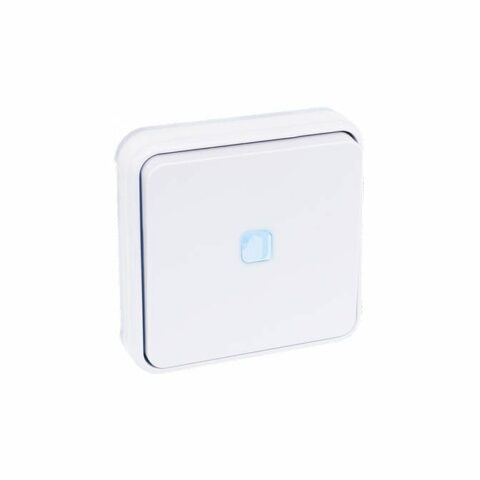 Bouton Poussoir lumineux 10A - Blanc - 60892