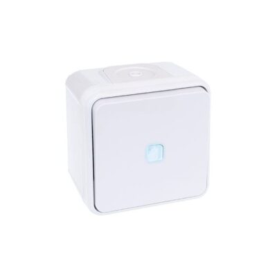 Interrupteur Va-et-vient lumineux - 1 poste - 10AX - 250V - 60811