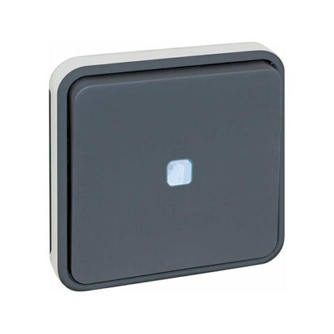 Boutton poussoir lumineux GRIS IP55 - 60824