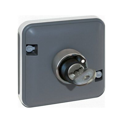 Mécanisme interrupteur à clé 2 positions Oxxo - 1 poste - Gris - 60828