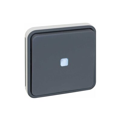 Va et vient LUMINEUX compos GRIS IP55 - 60821