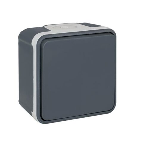 Bouton poussoir 1 poste - 10AX - 250V - Oxxo - Gris - 60803