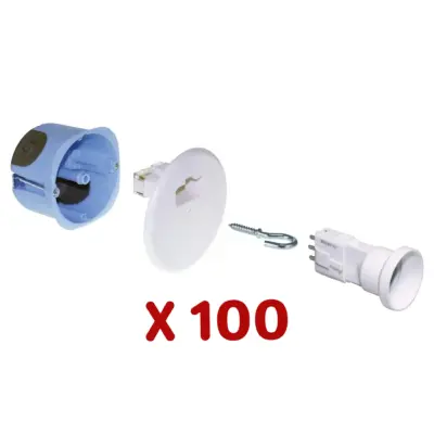 Lot 100 kits DCL centre d67 2entrées E27